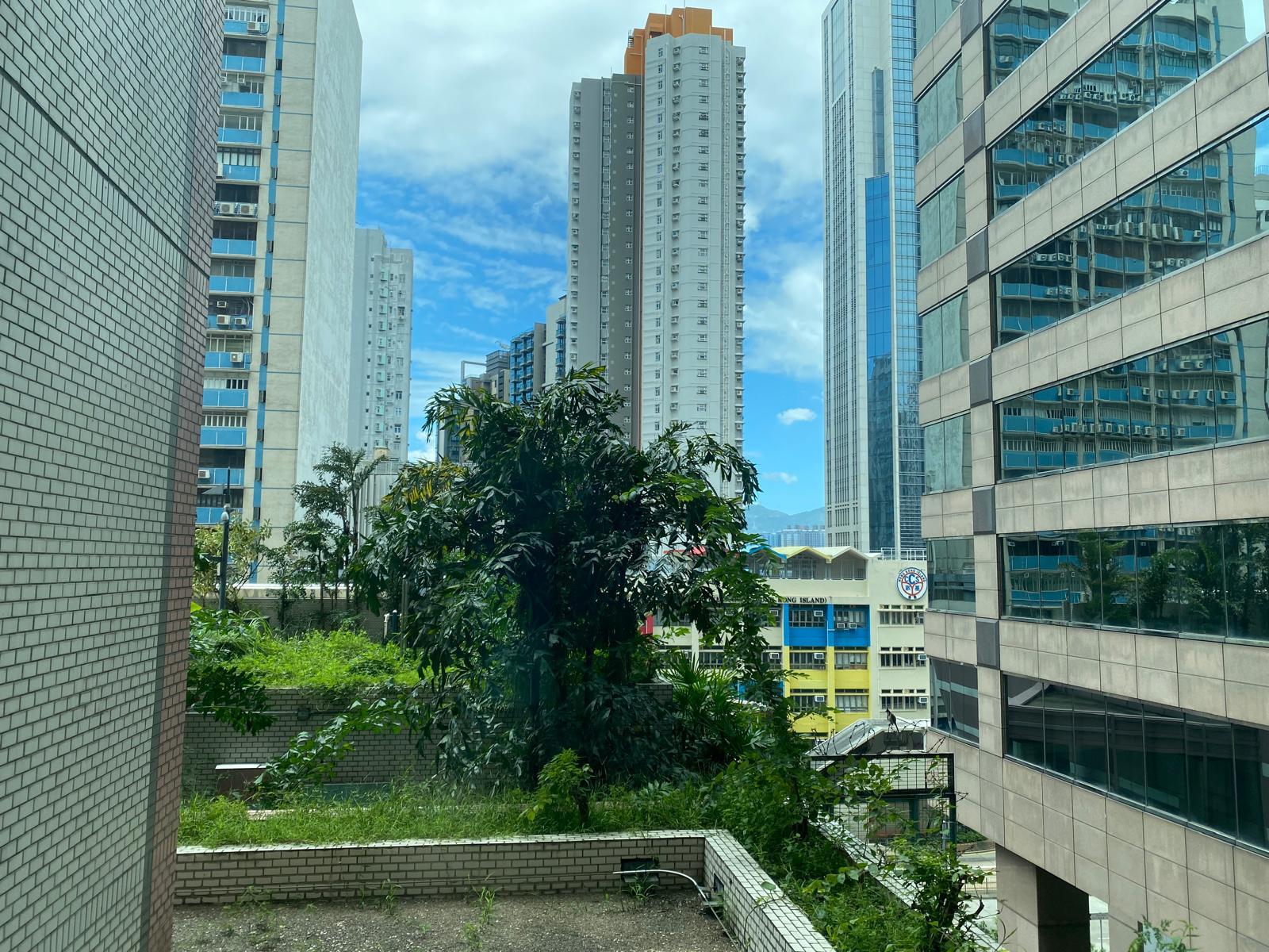 港運城